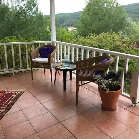 Yesilin Ortasinda Huzur
