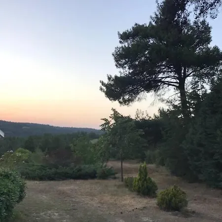 Yesilin Ortasinda Huzur Tatil Evi *