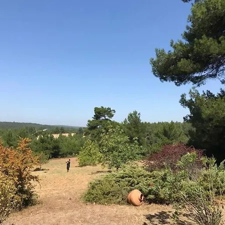 Yesilin Ortasinda Huzur * גאליפולי