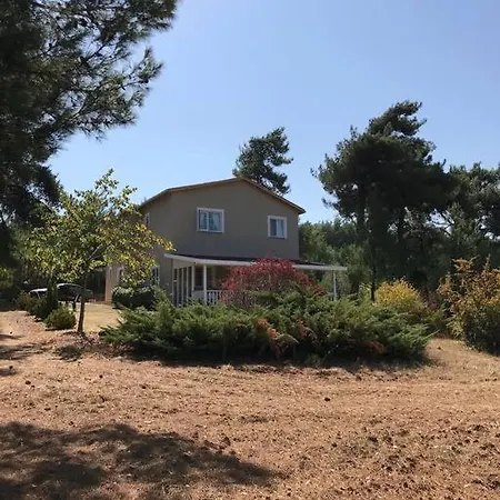 Tatil Evi Yesilin Ortasinda Huzur