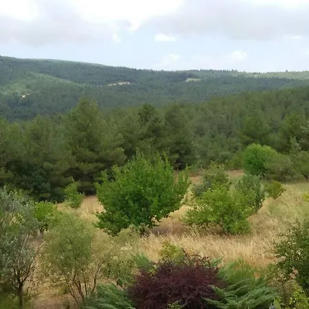 Tatil Evi Yesilin Ortasinda Huzur *