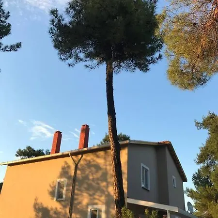 Tatil Evi Yesilin Ortasinda Huzur Gelibolu