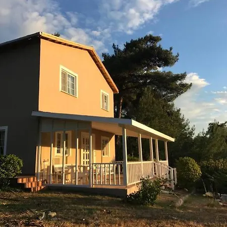 Yesilin Ortasinda Huzur