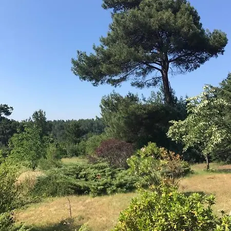 בית נופש Yesilin Ortasinda Huzur *