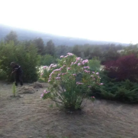 Yesilin Ortasinda Huzur Tatil Evi Gelibolu