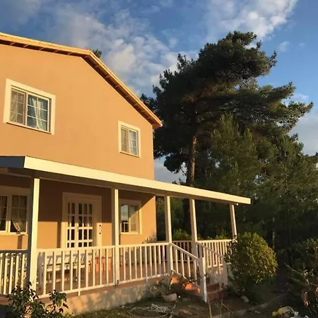 Yesilin Ortasinda Huzur *