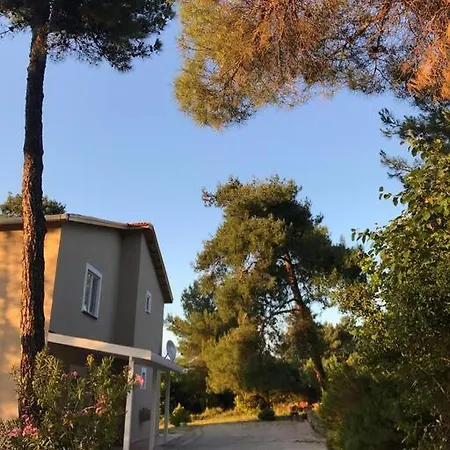 Tatil Evi Yesilin Ortasinda Huzur *