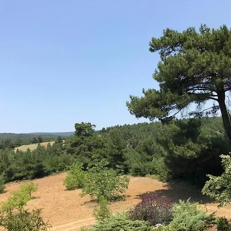 Yesilin Ortasinda Huzur גאליפולי