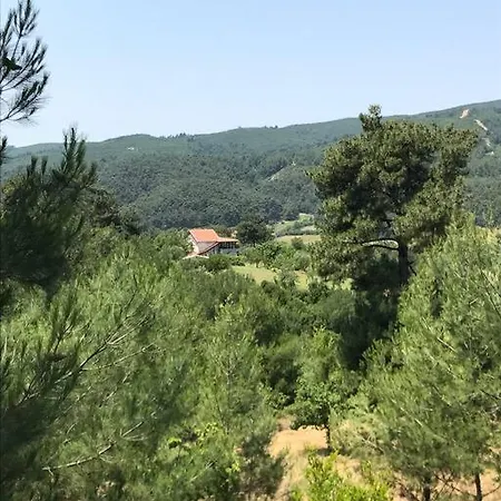 Yesilin Ortasinda Huzur בית נופש גאליפולי