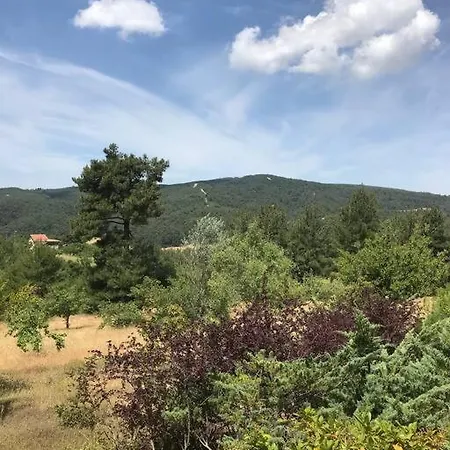 Tatil Evi Yesilin Ortasinda Huzur Gelibolu
