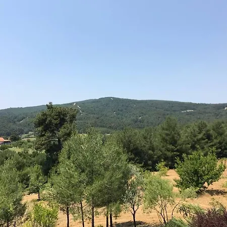 Yesilin Ortasinda Huzur בית נופש *